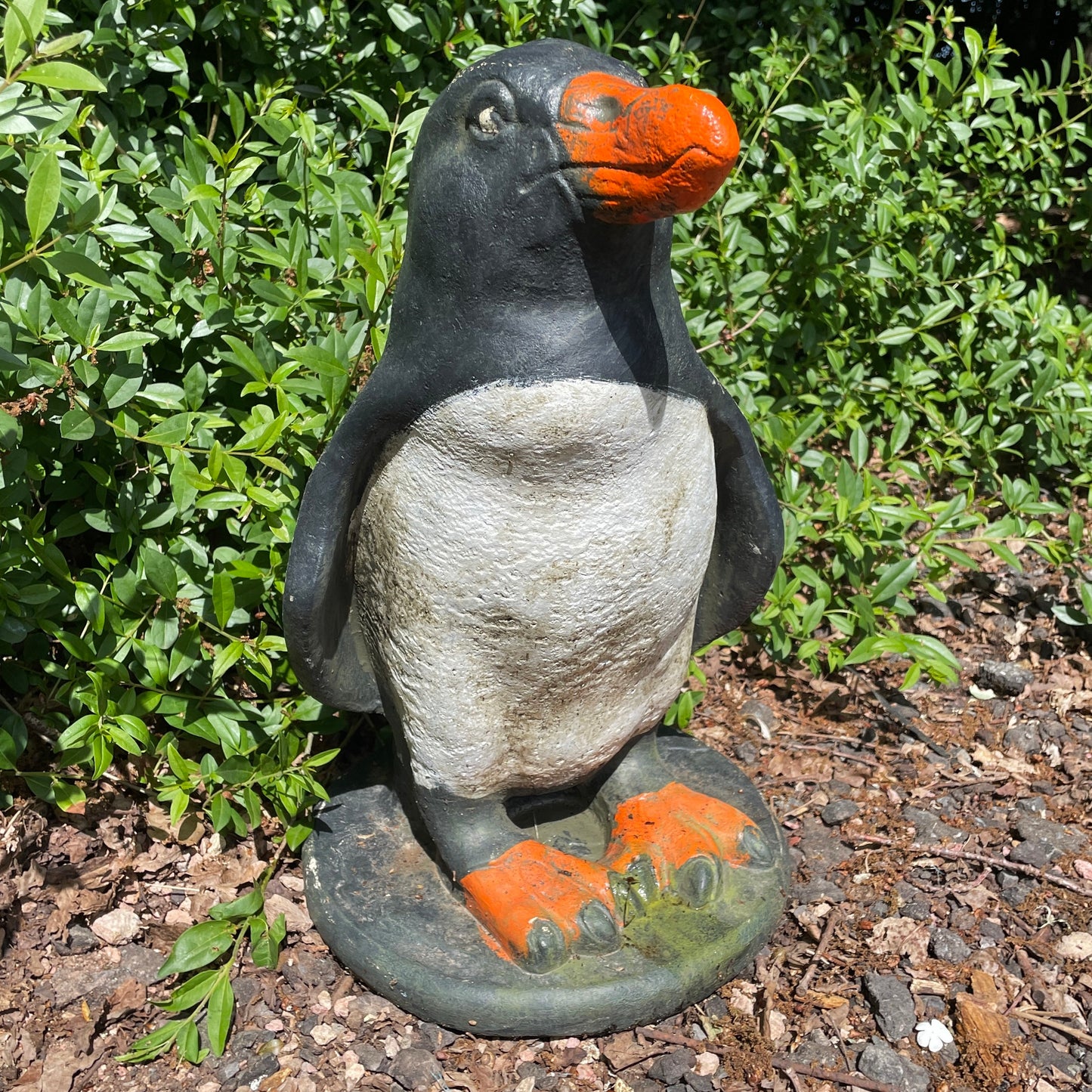 Adelie Penguin