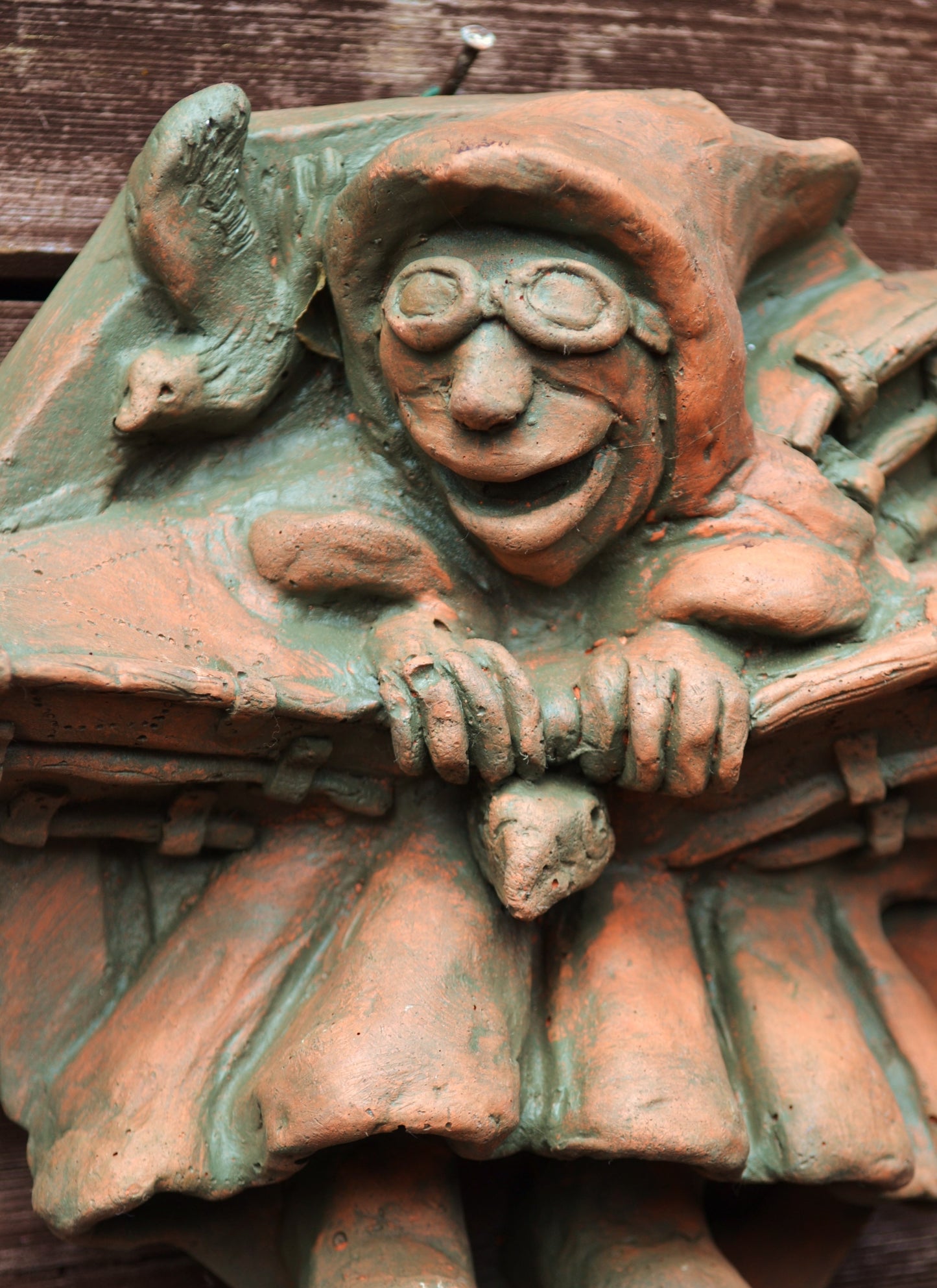 Bird Man Medieval Monk