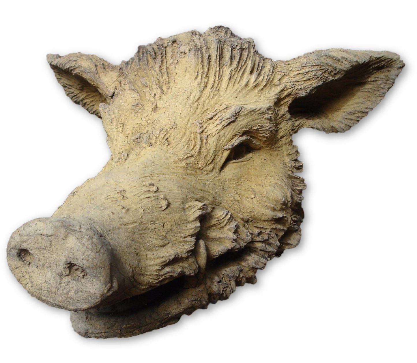 Boars Head Sml