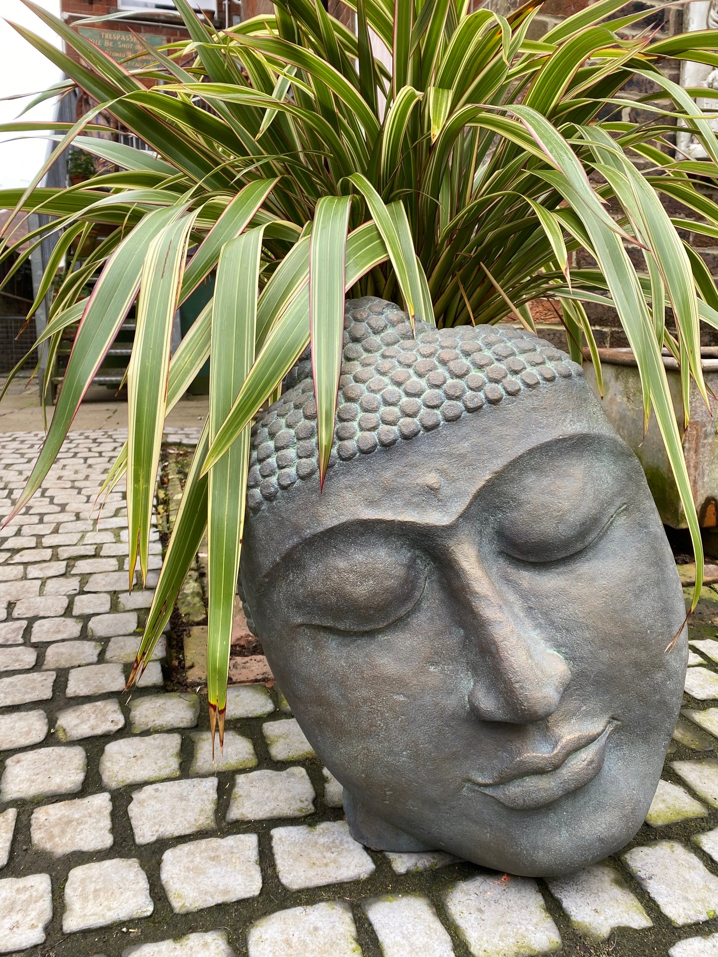 Buddha Head Statue