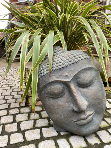 Buddha Head Statue