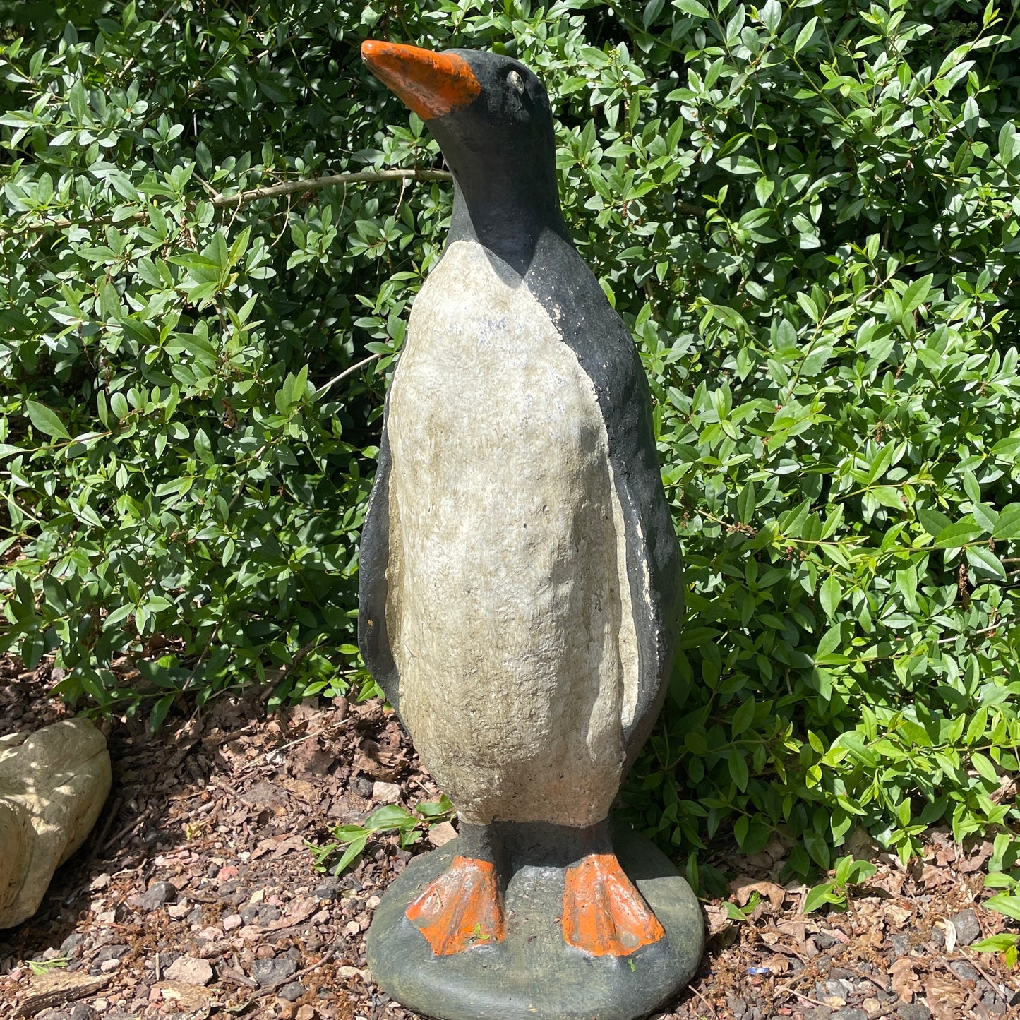 Emperor Penguin