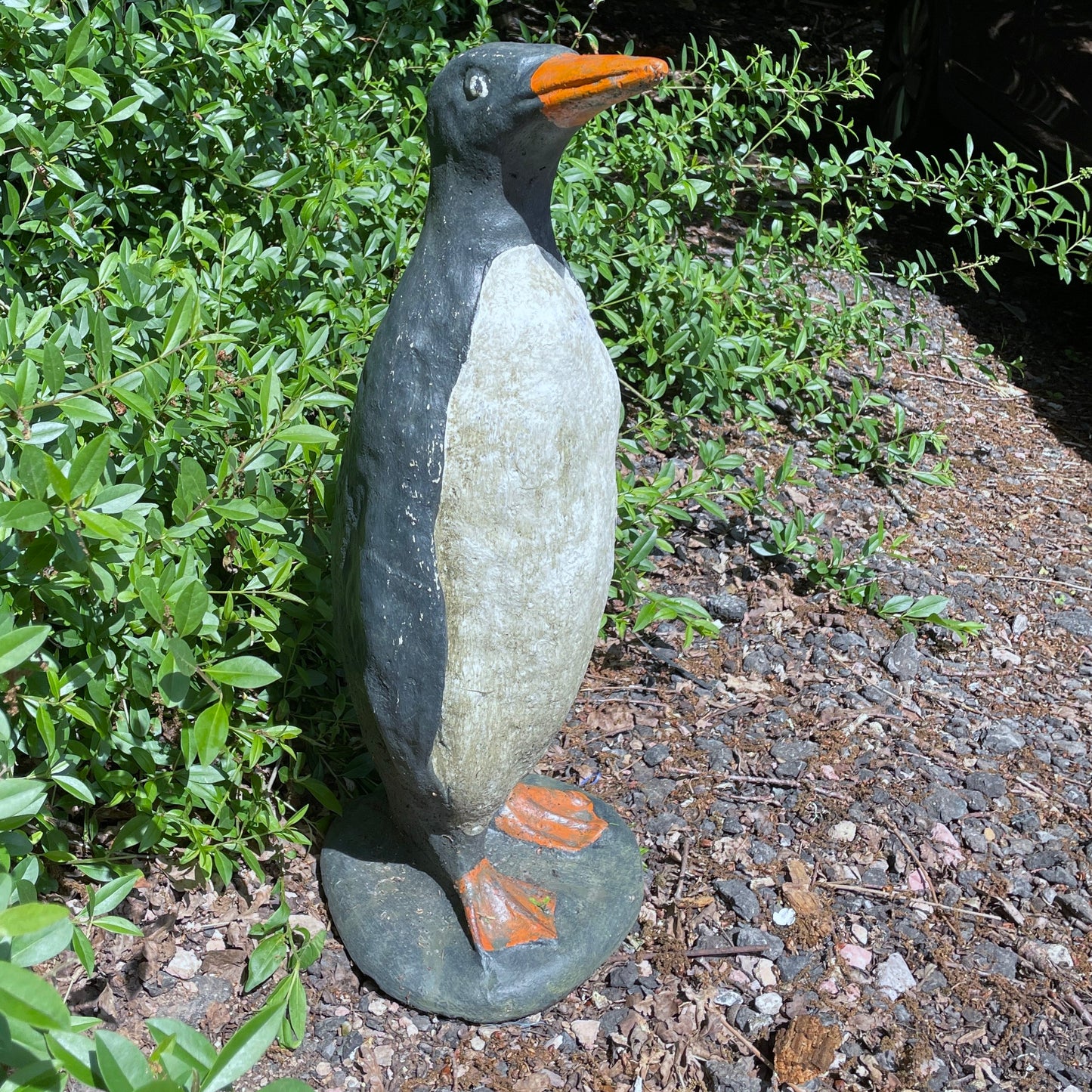 Emperor Penguin