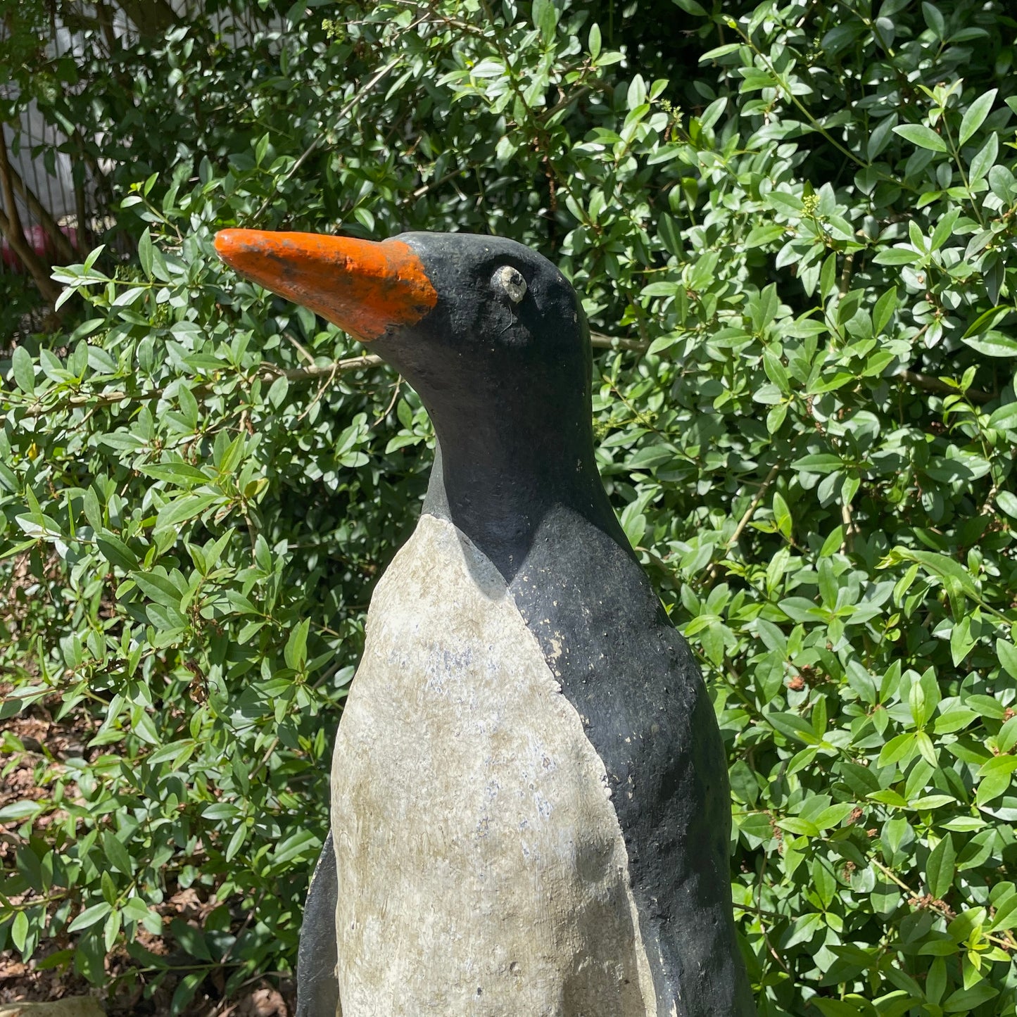 Emperor Penguin