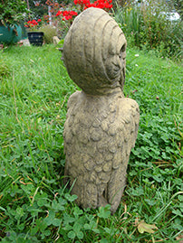 Pelican Grotesque