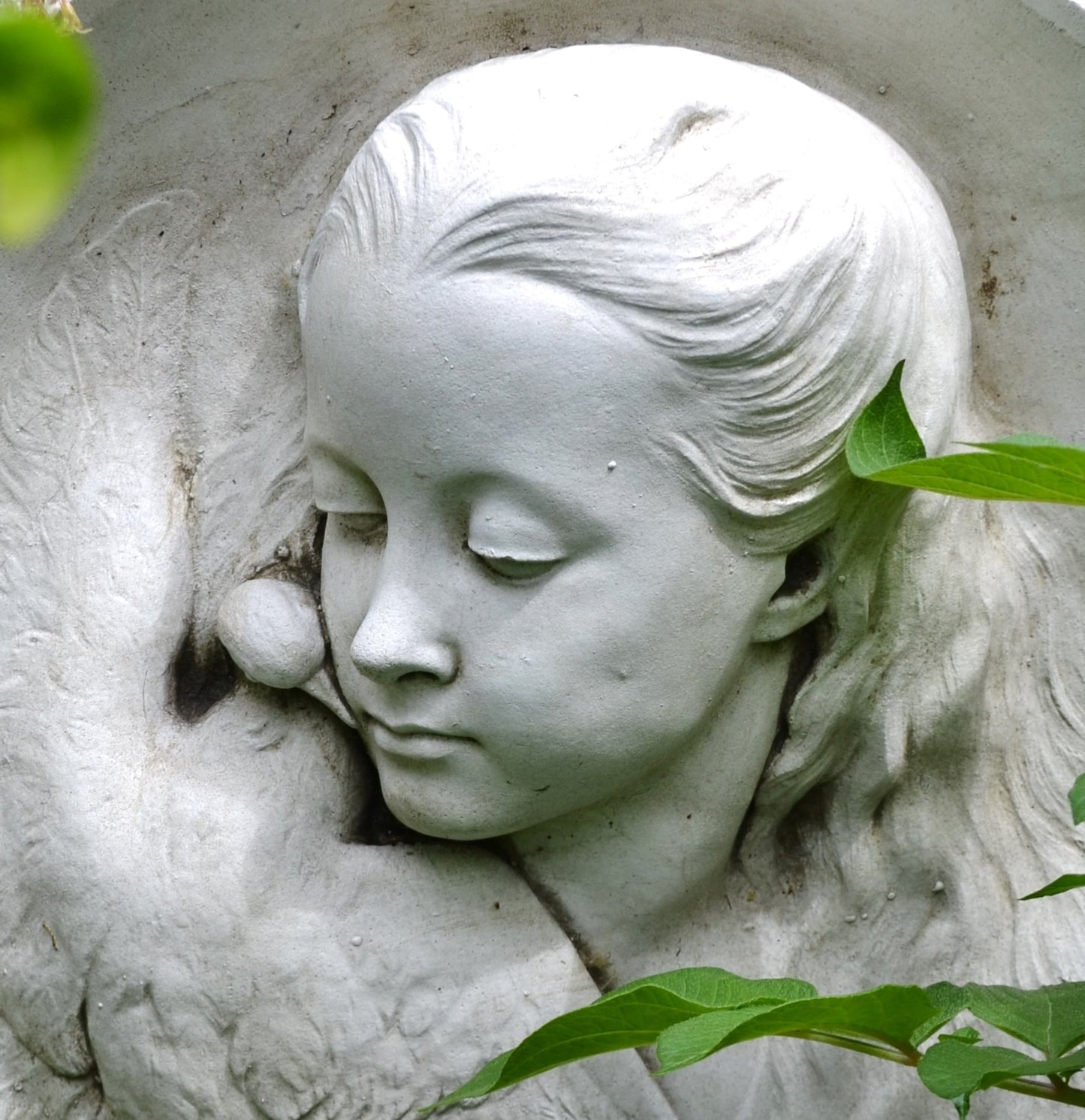 Girl and the Dove Plaque