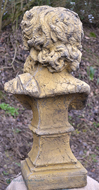 Hercules Roman Classical Bust