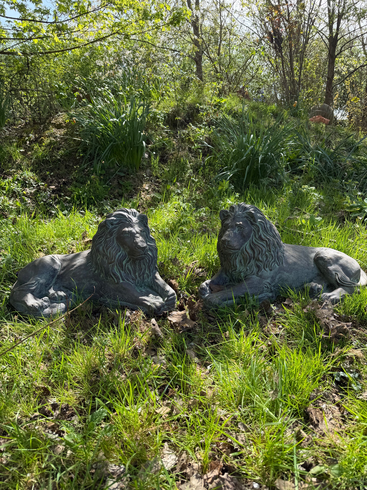 Majestic Lions Pair