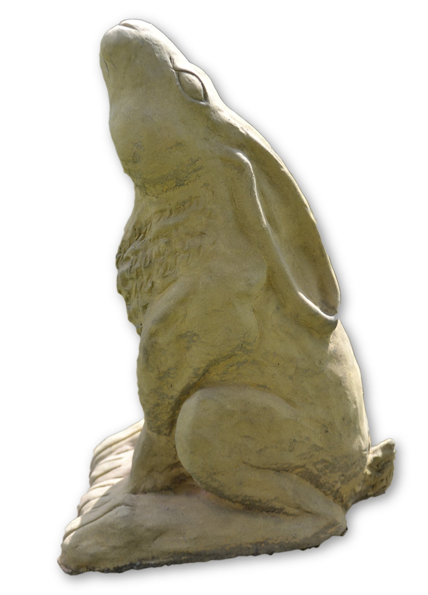 Moon Gazing Hare Medium