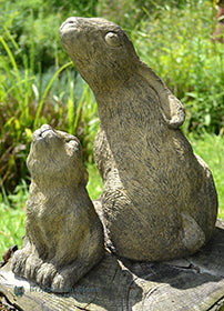 Mother and Baby Moon Gazing Hare