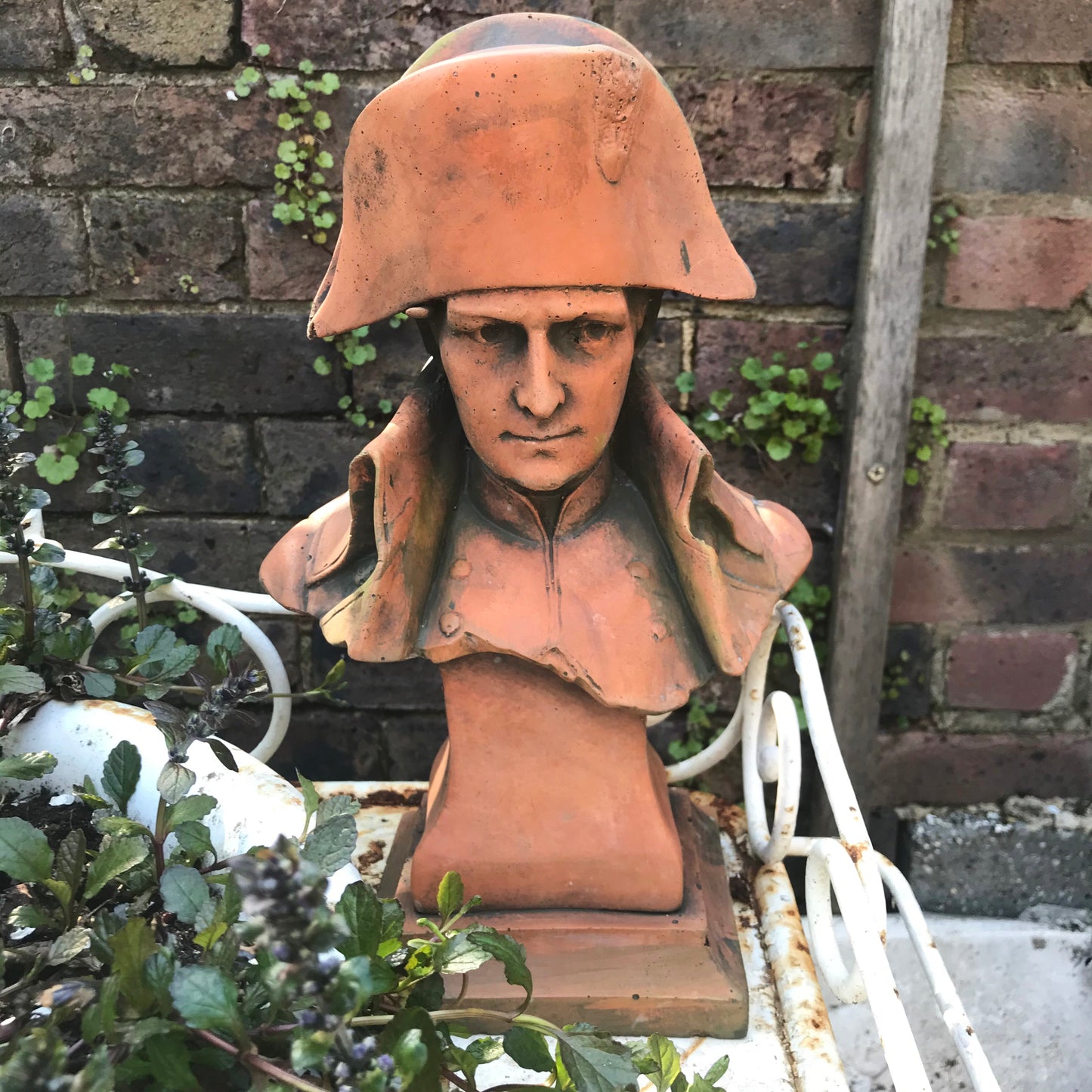 Napoleon Bonaparte