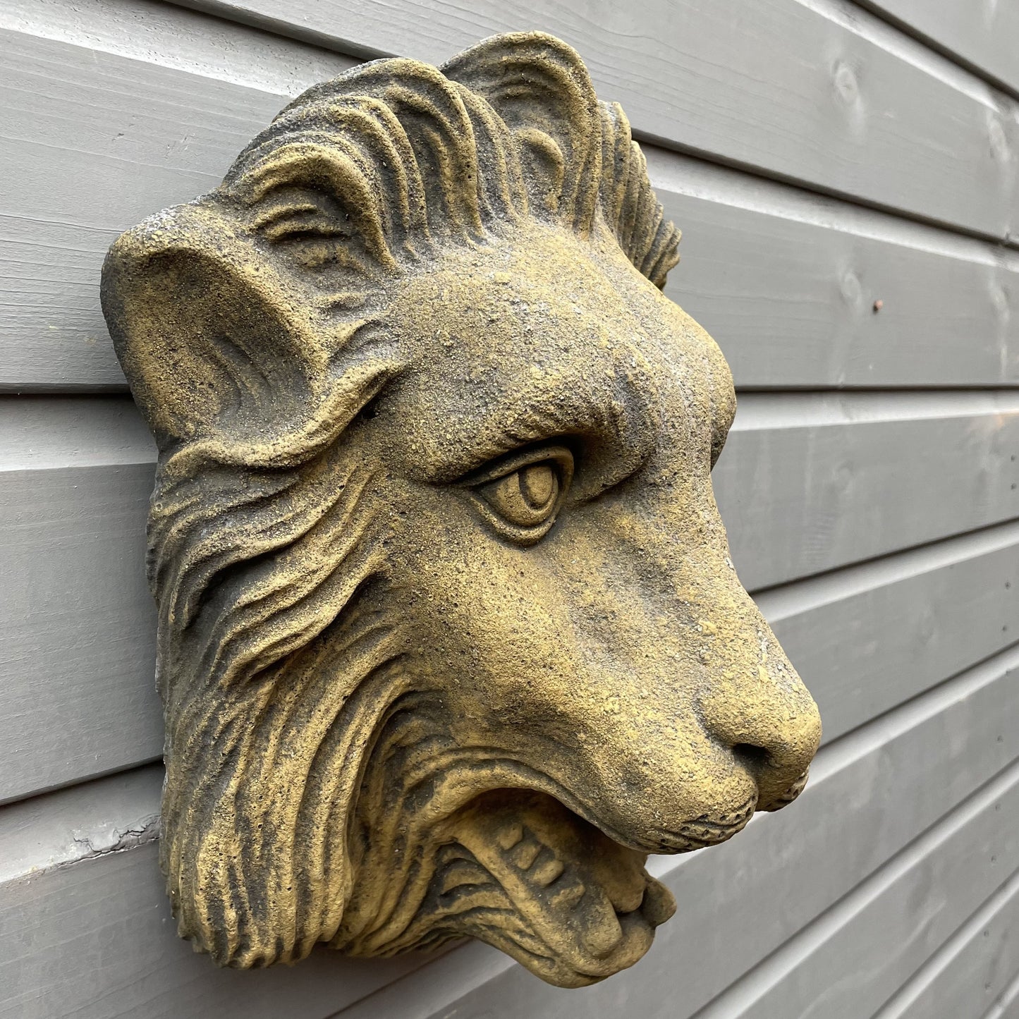 Nemean Lion Fountain Mask