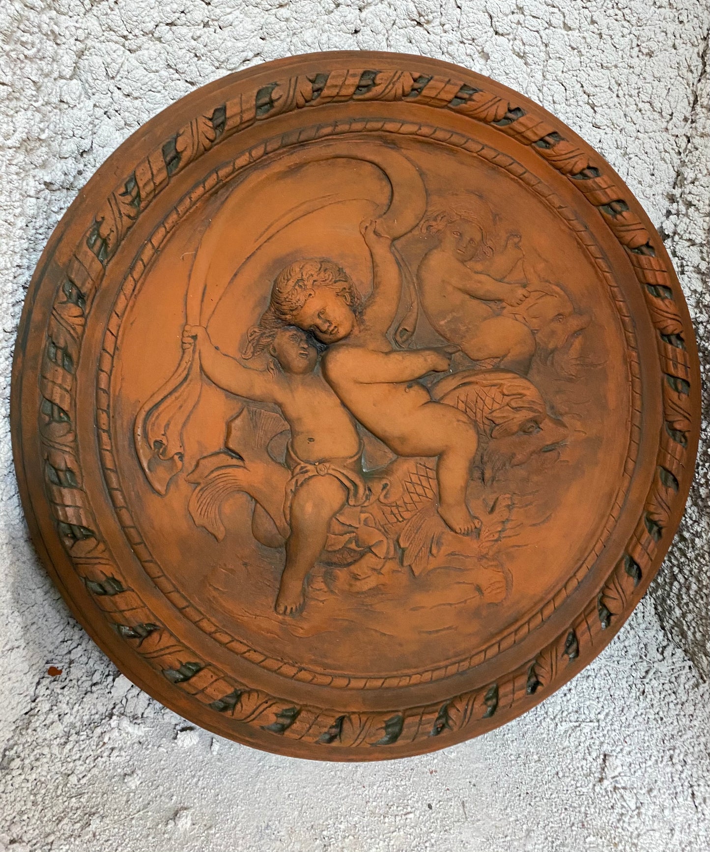 Palaemon on Dolphin