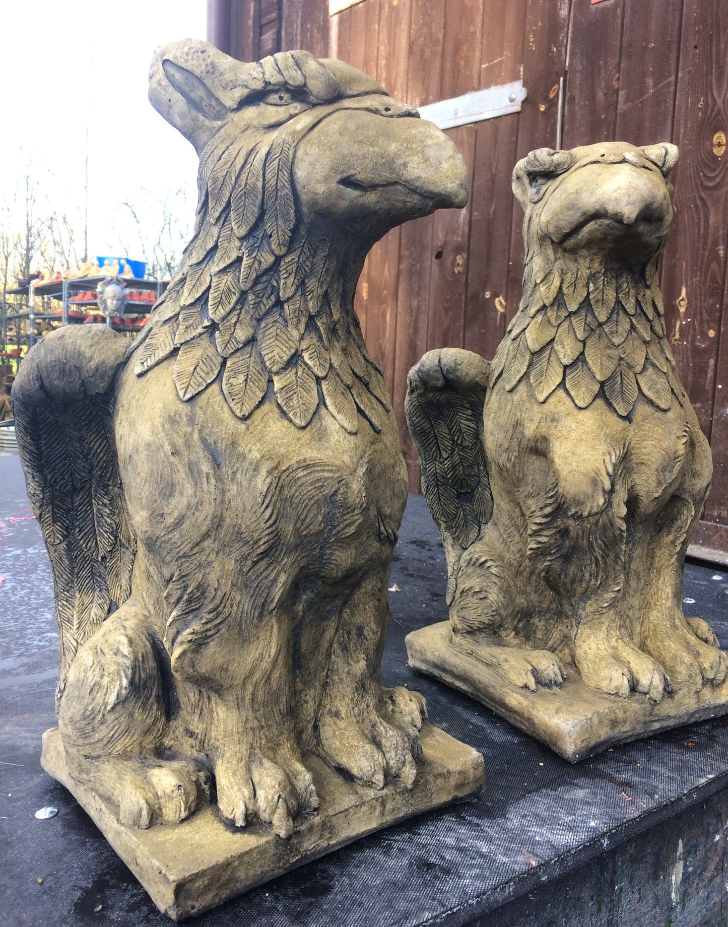 Phoenix Griffins