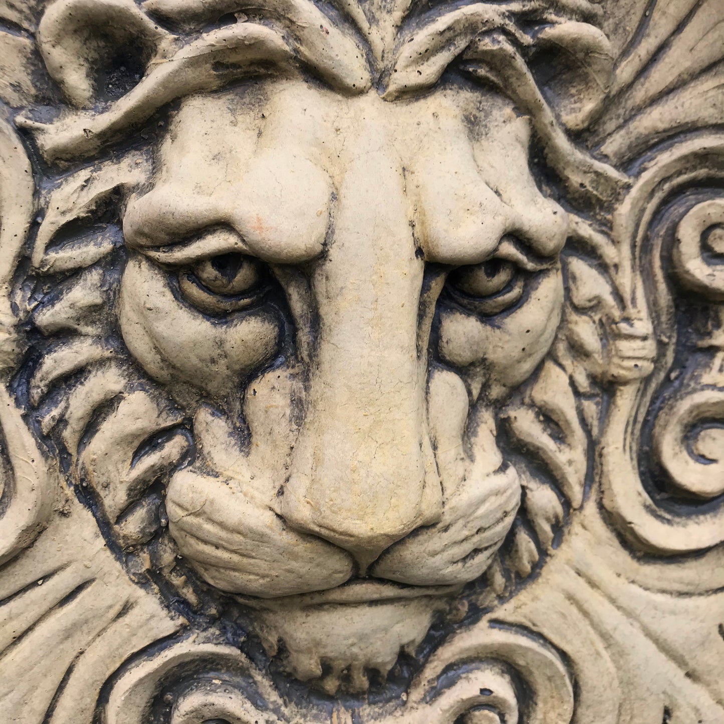Roman Lion