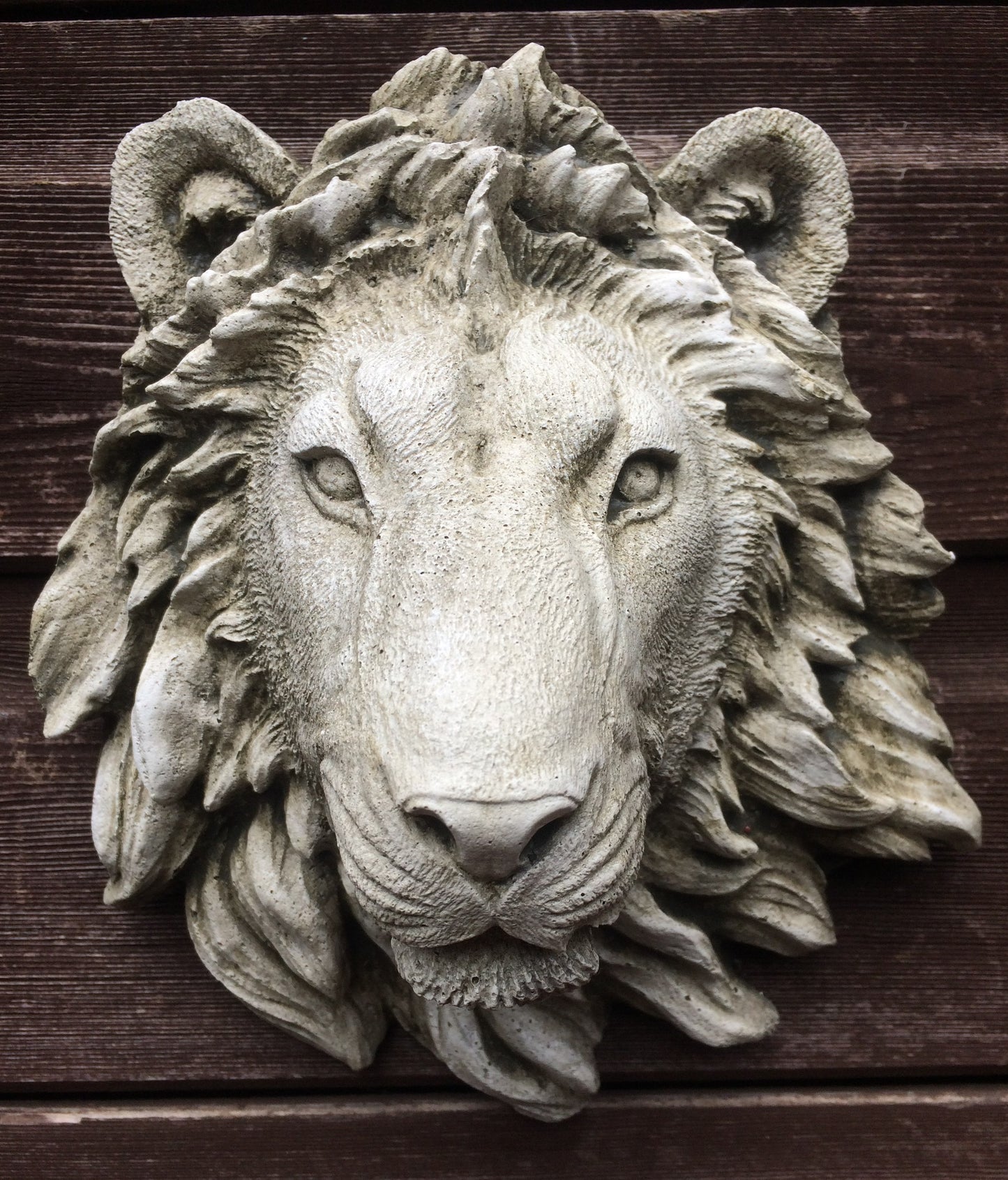 Small Lion Head