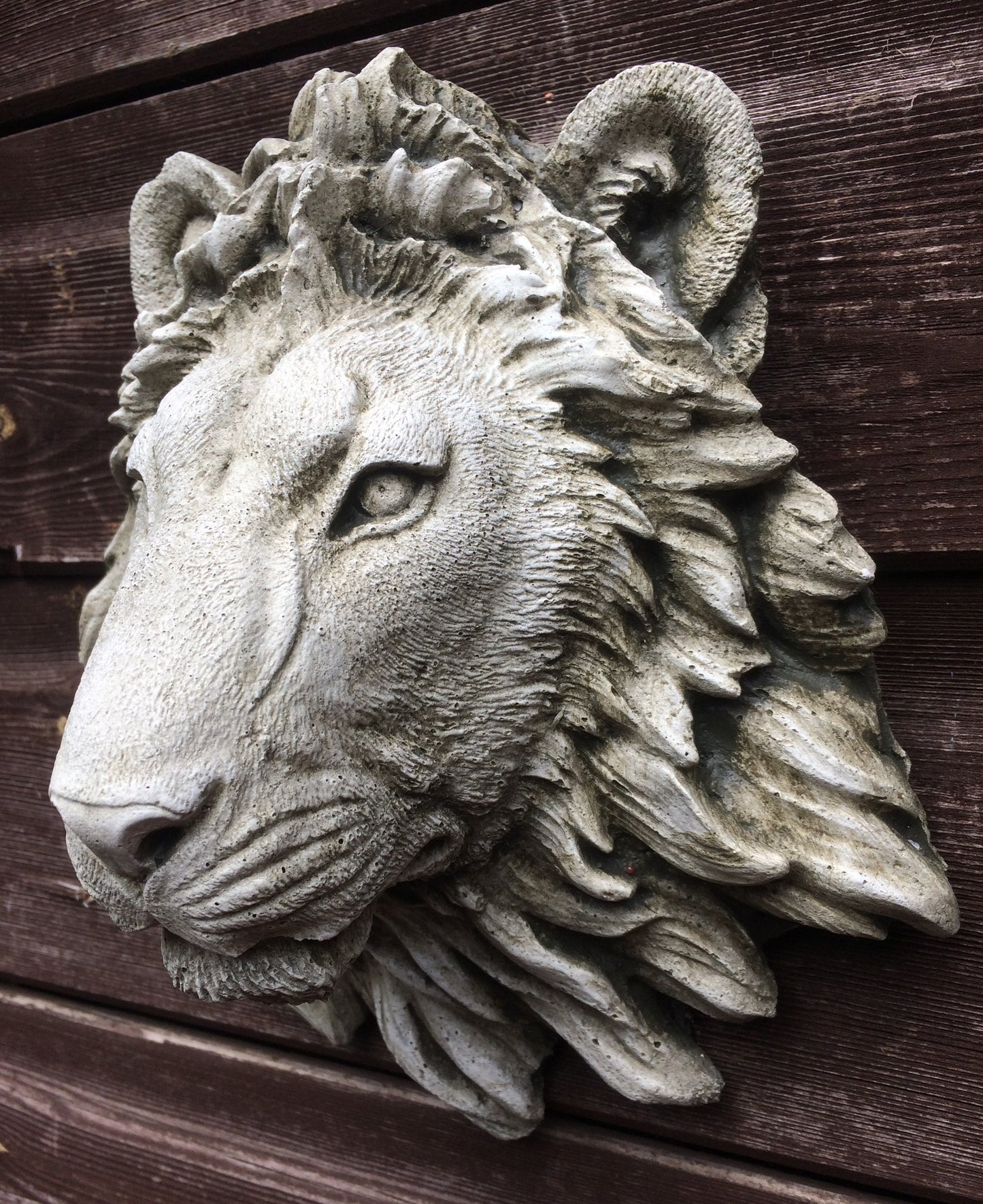 Small Lion Head