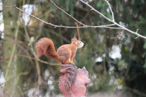 Squirrel Angled Roof Finial