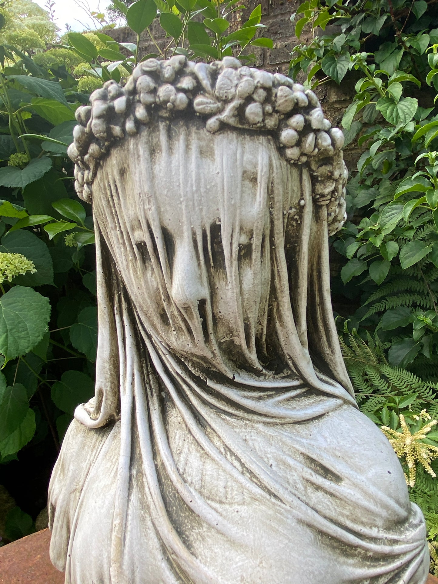 Veiled Lady
