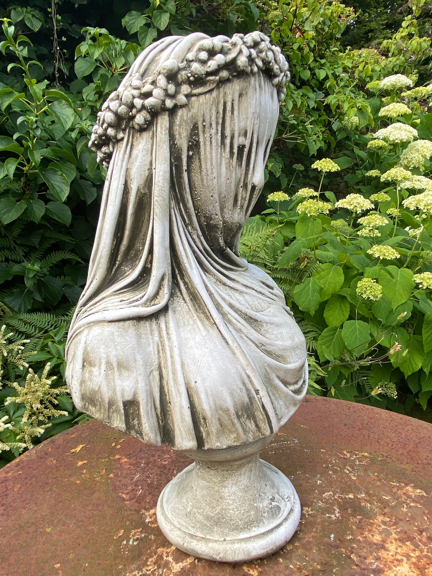 Veiled Lady