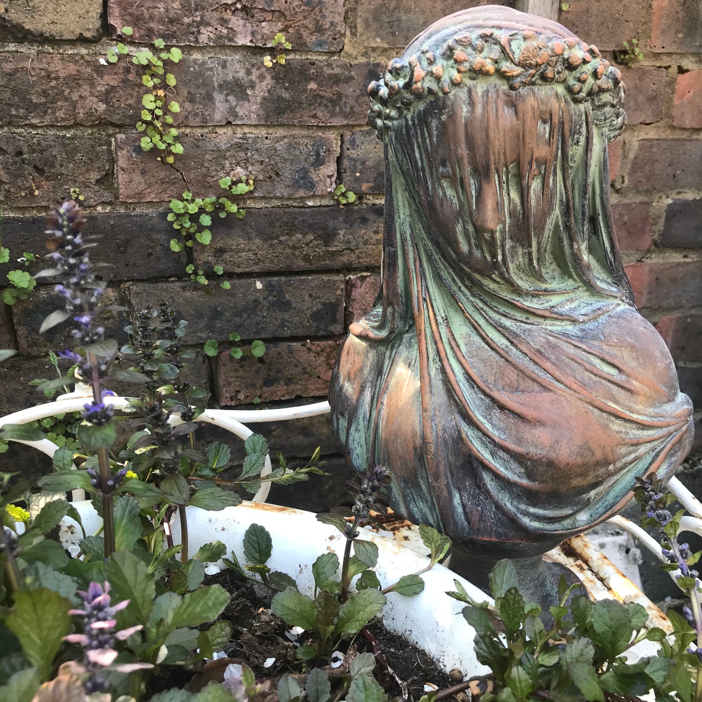 Veiled Lady