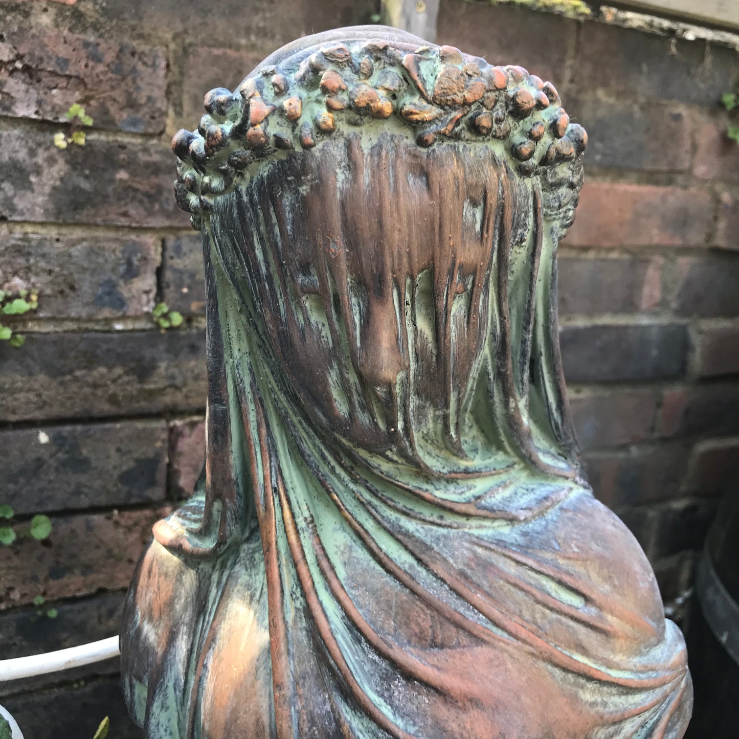 Veiled Lady