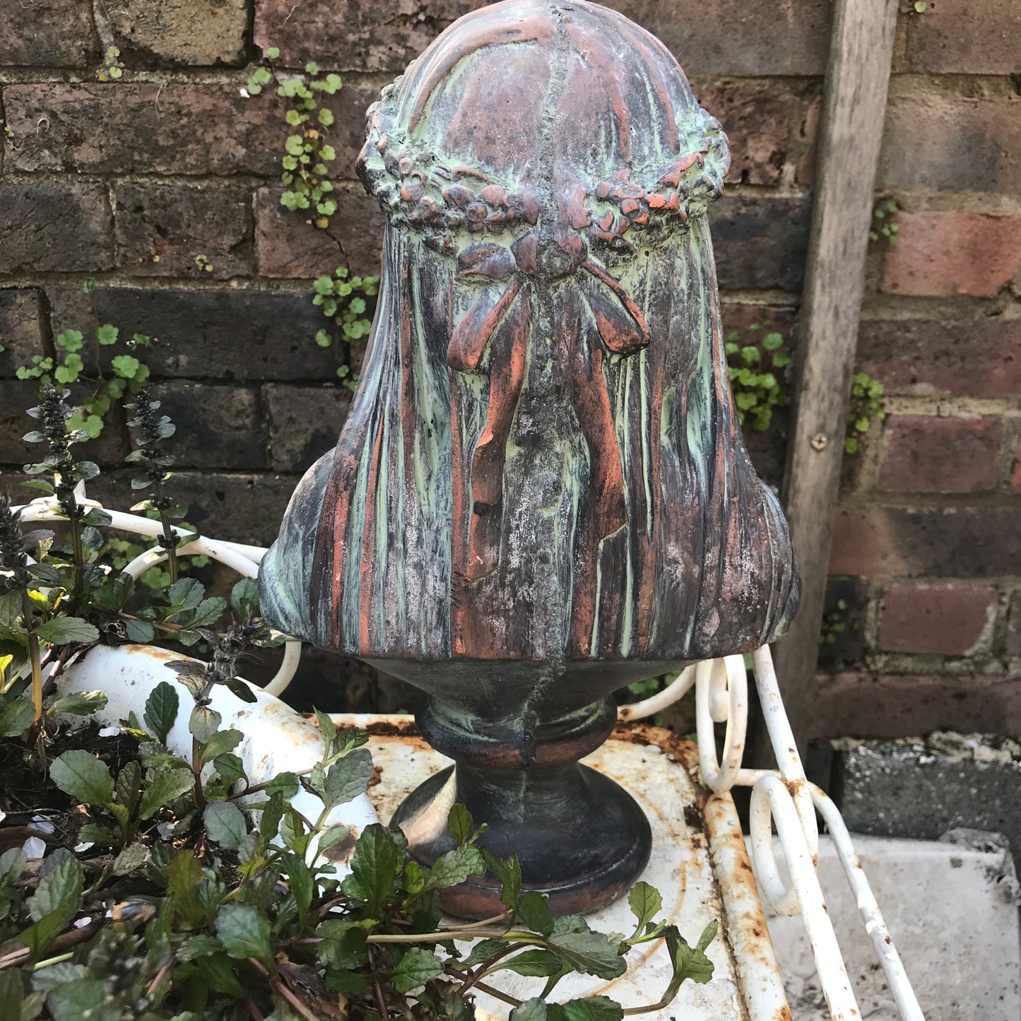 Veiled Lady