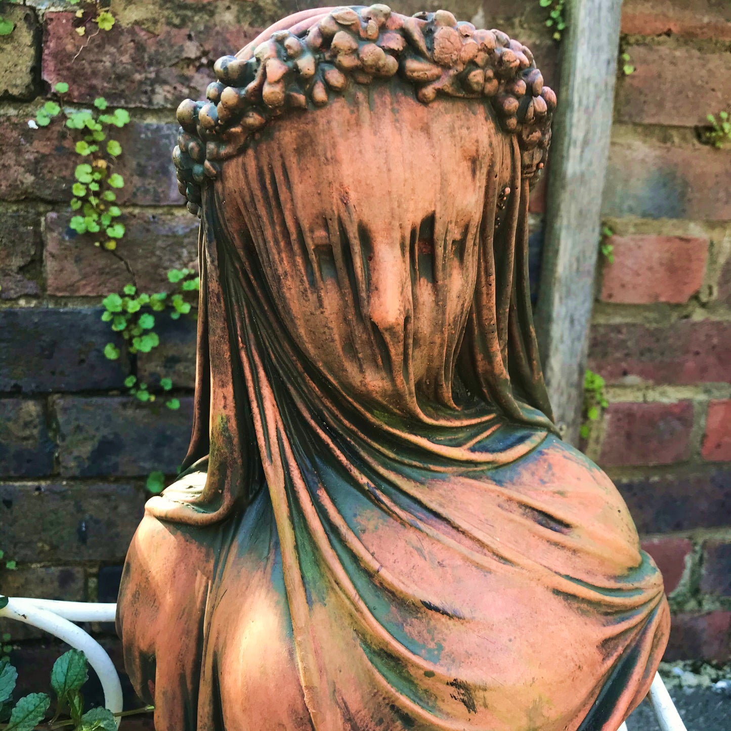 Veiled Lady