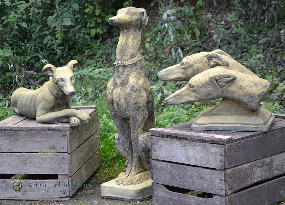 Greyhound Dog Heads
