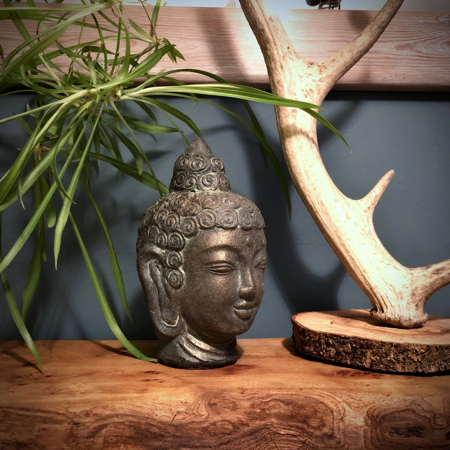 Wisdom Buddha Head