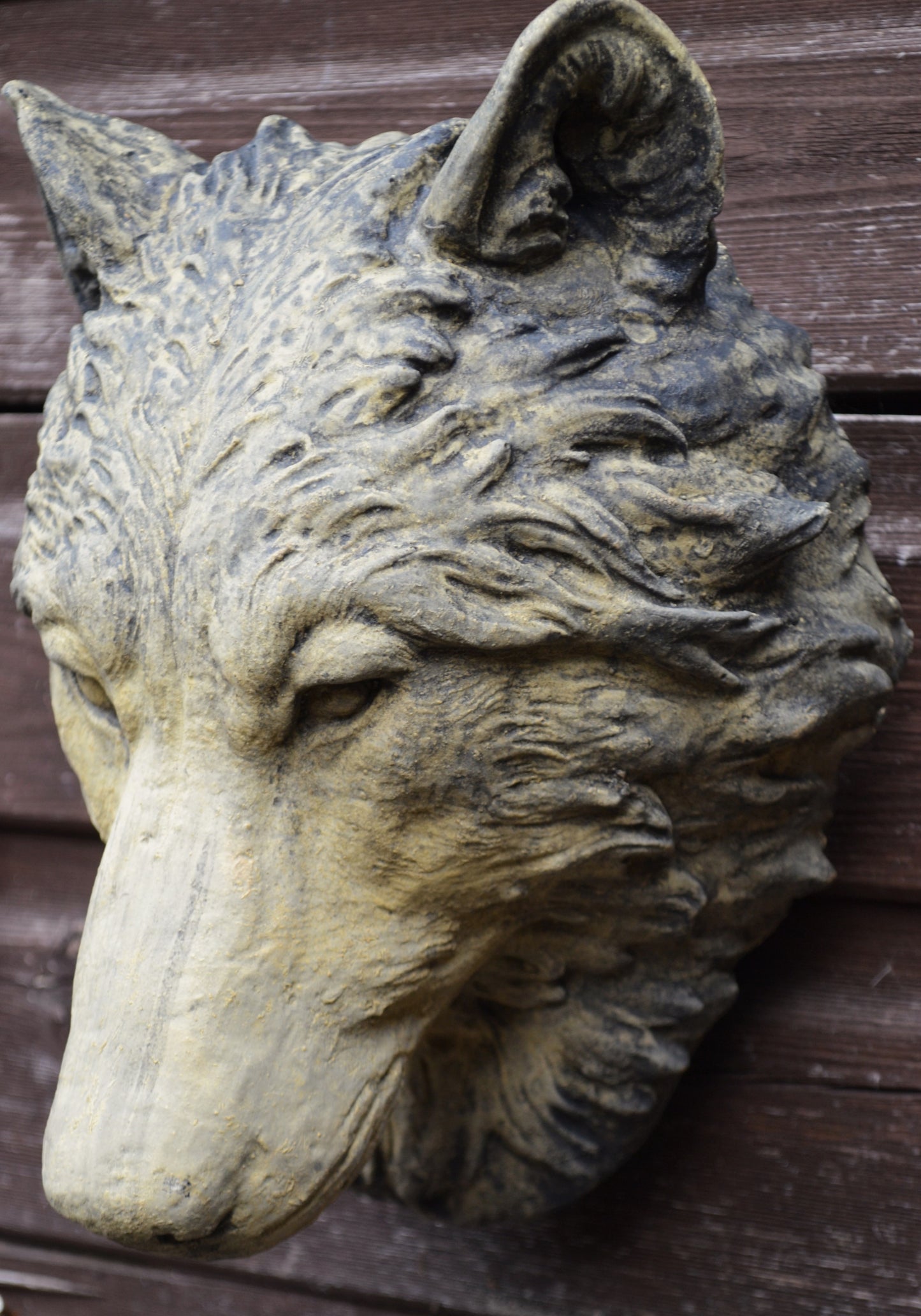 Wolf Head Plaque