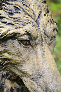 Wolf Head Bust