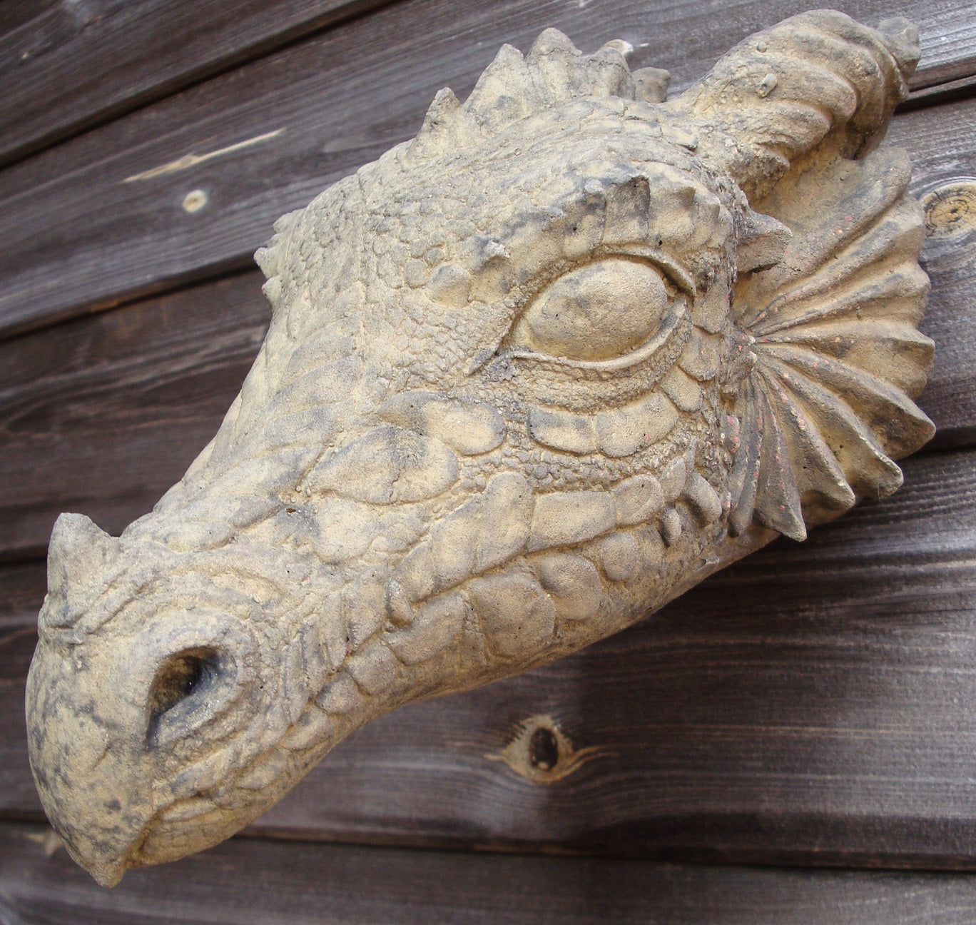 Wyvern Dragon Head