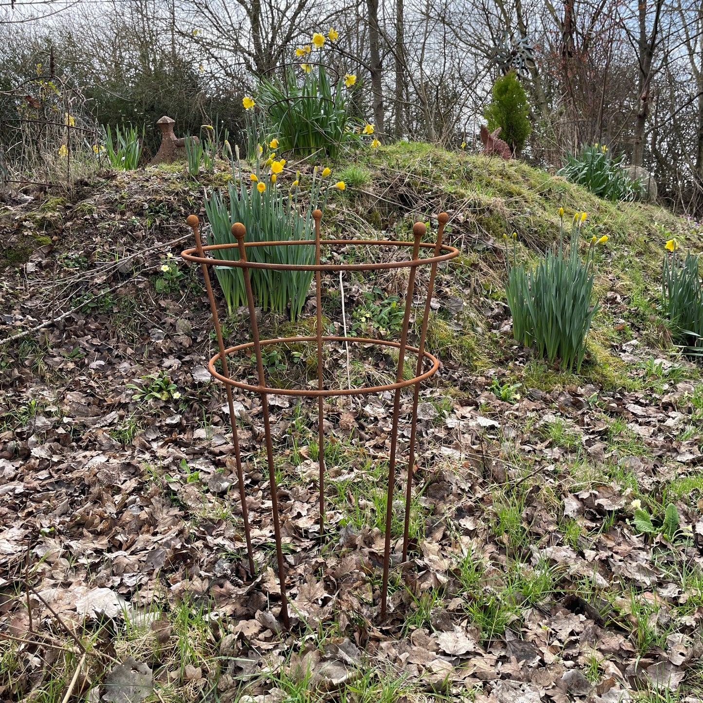 Peony or Herbaceous plant stand