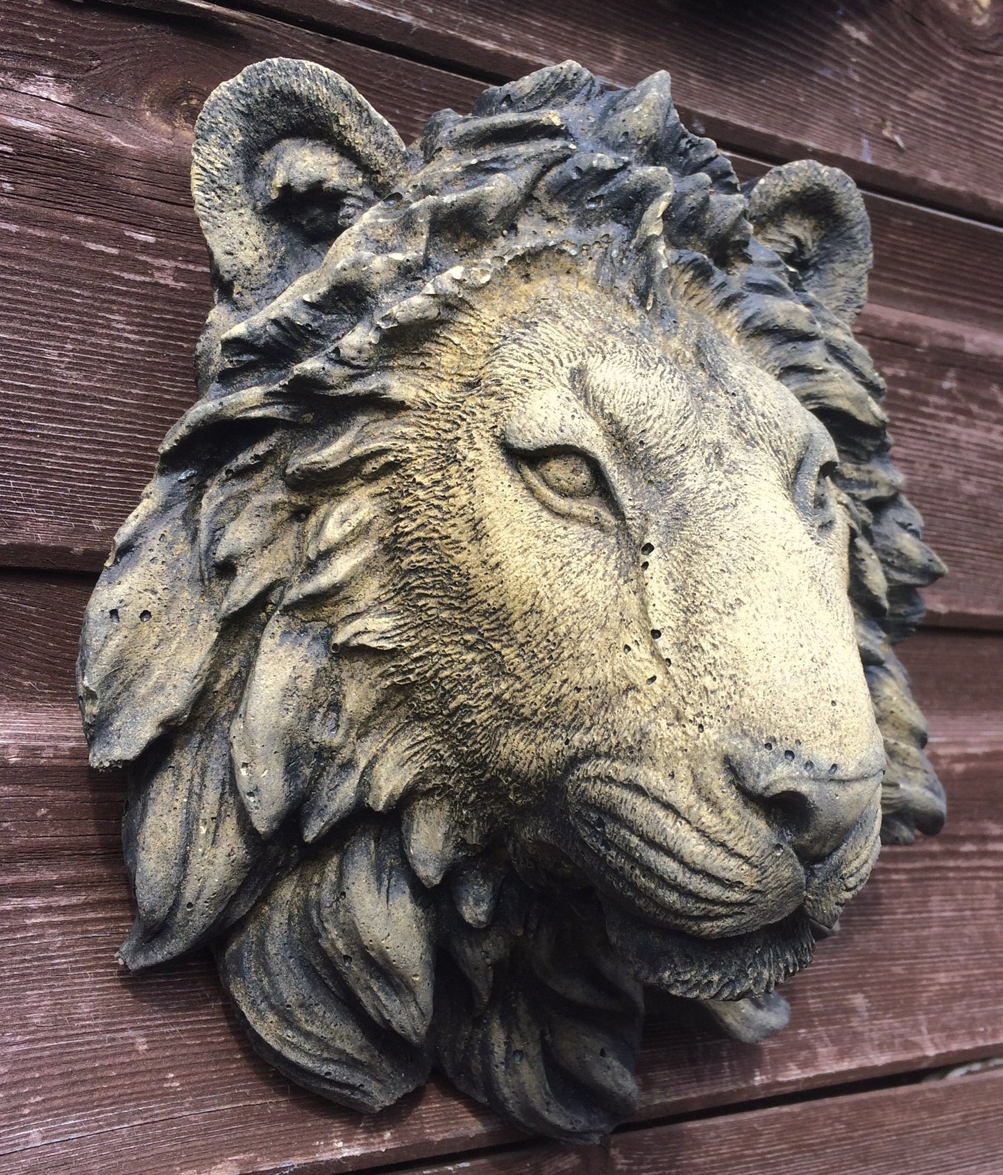 Small Lion Head