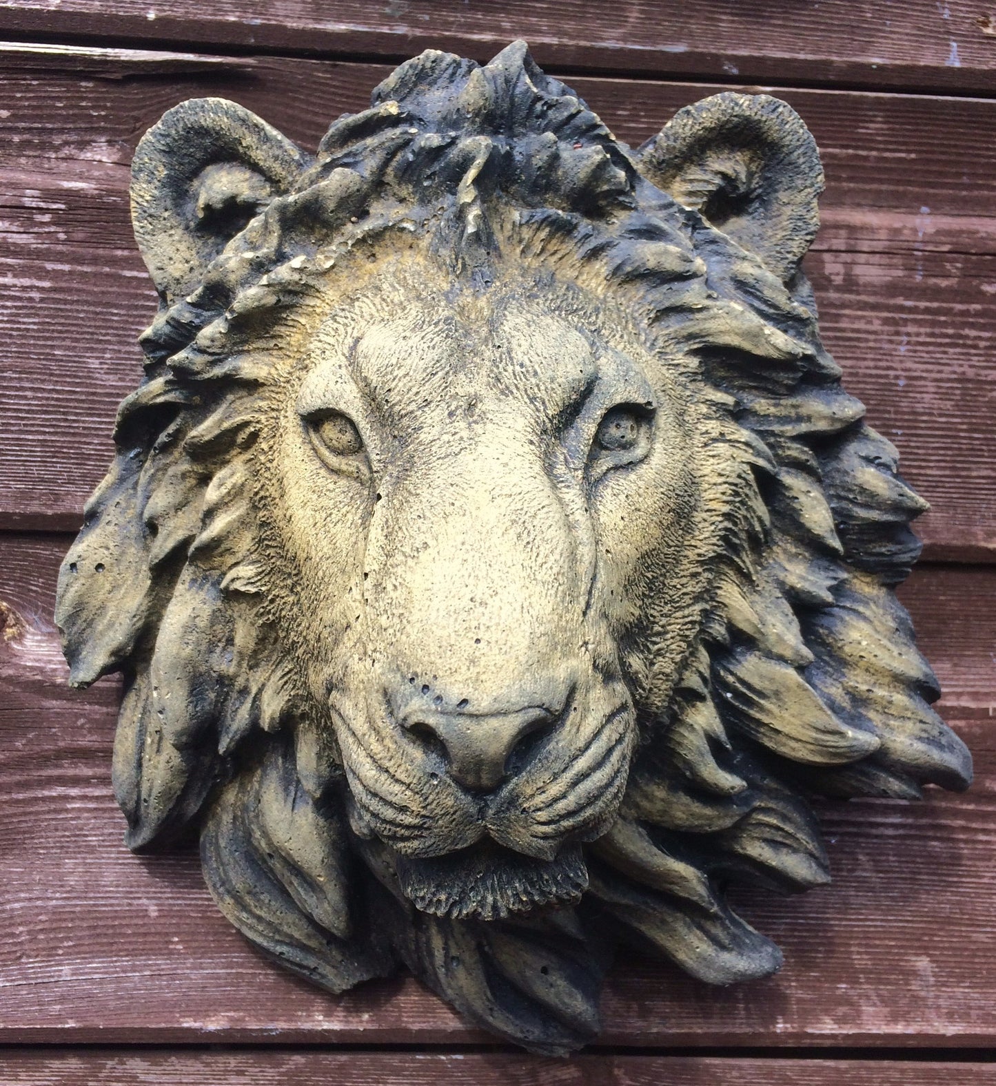 Small Lion Head