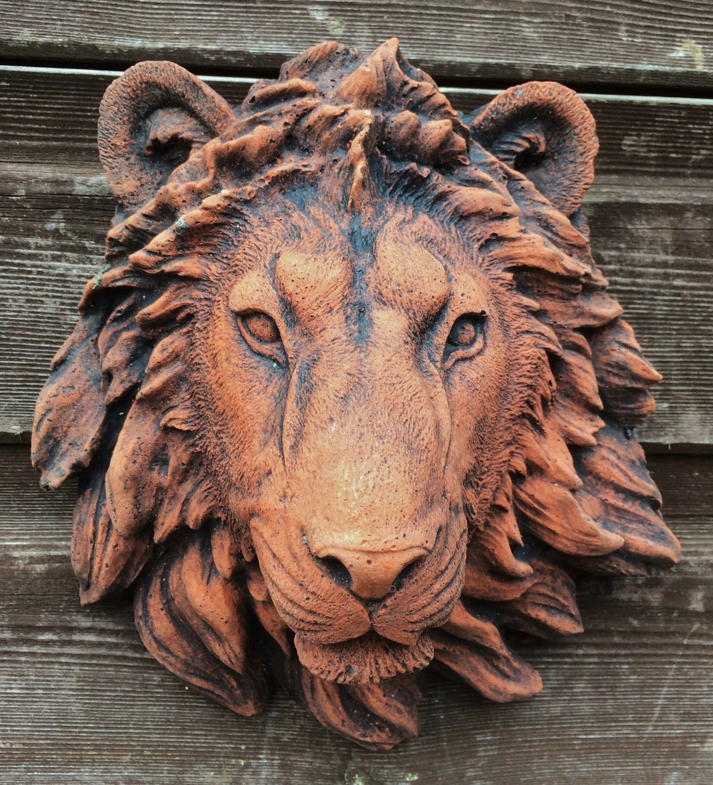 Small Lion Head