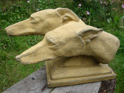 Greyhound Dog Heads