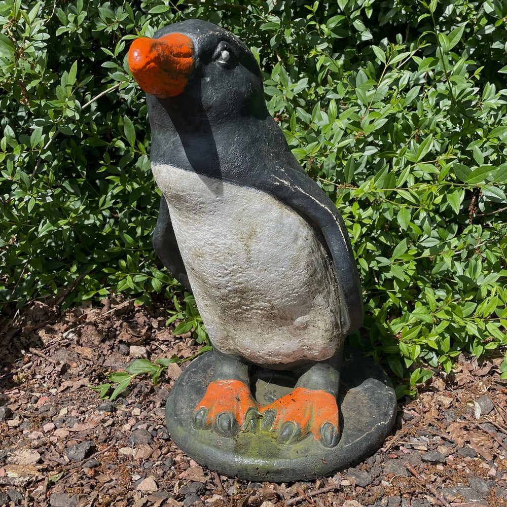 Adelie Penguin