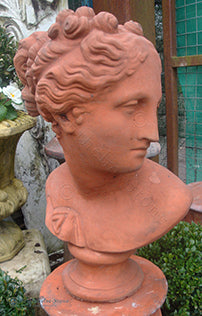 Aphrodite Bust