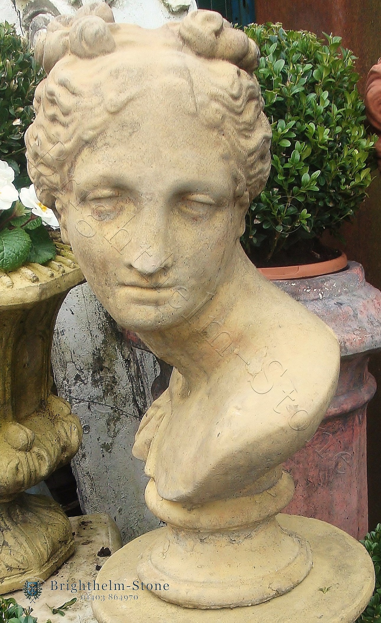 Aphrodite Bust