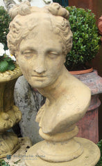 Aphrodite Bust