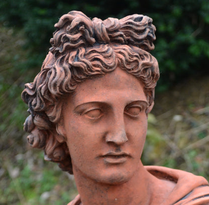 Apollo Bust
