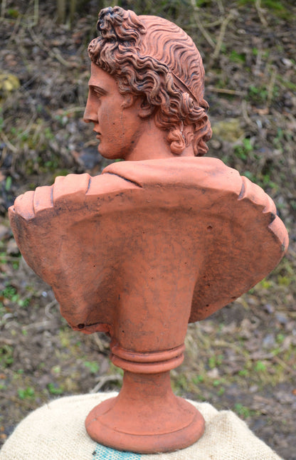 Apollo Bust