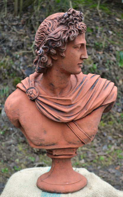 Apollo Bust