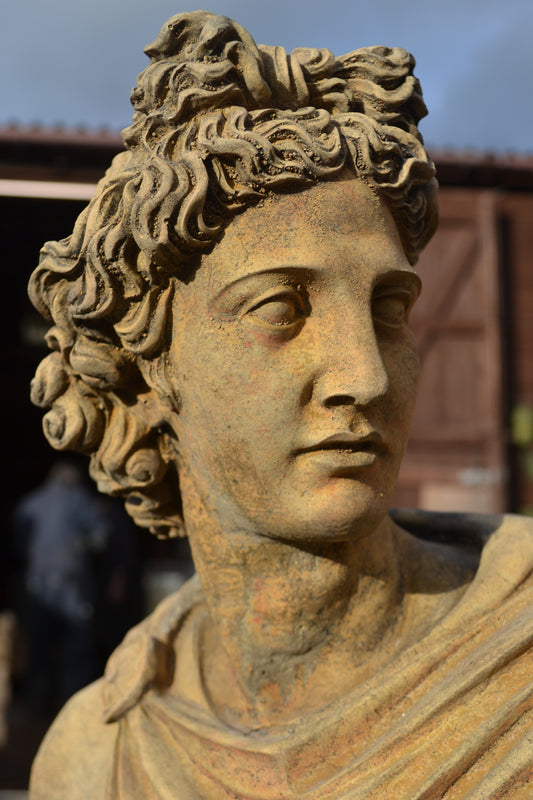 Apollo Bust