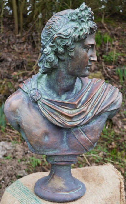 Apollo Bust