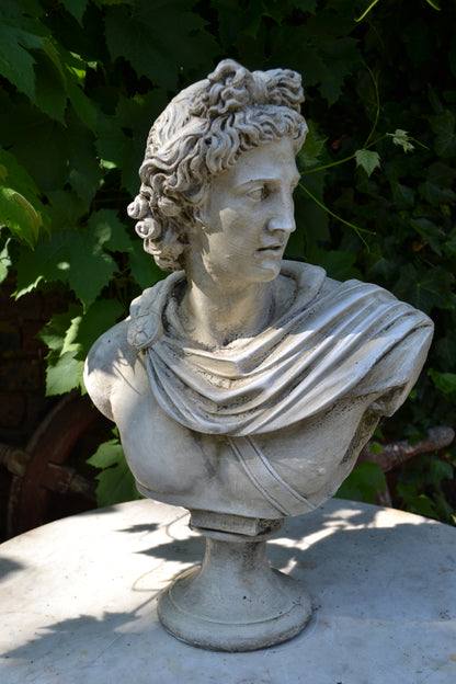 Apollo Bust