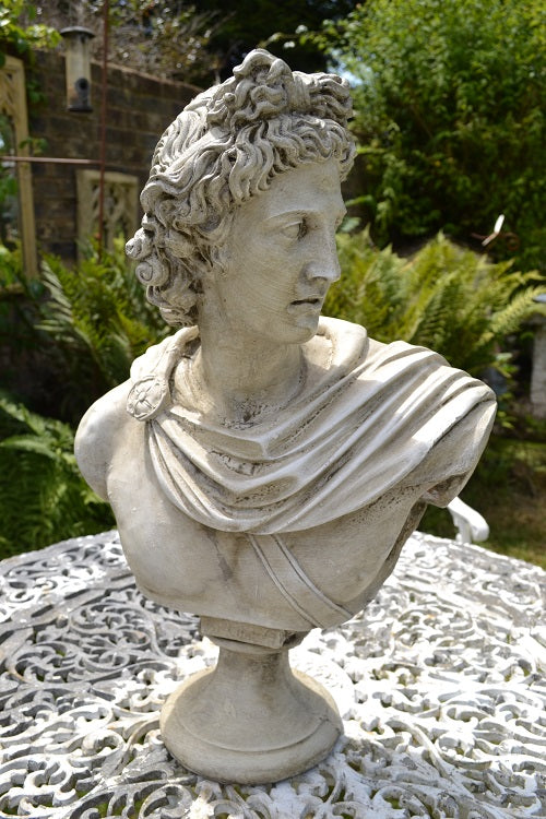 Apollo Bust