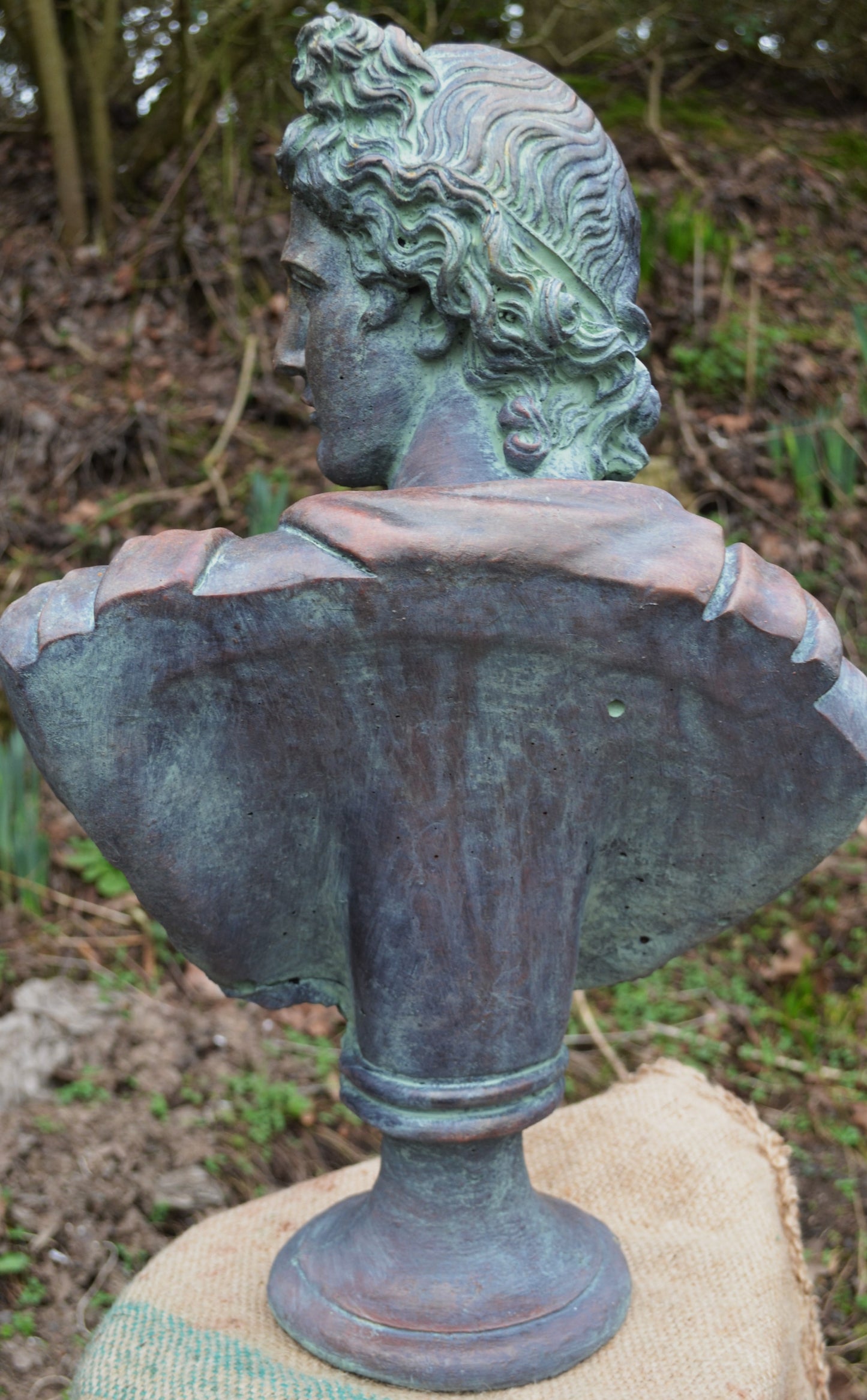 Apollo Bust